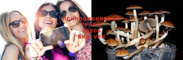 трава Надым