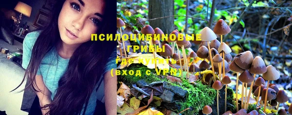 трава Надым