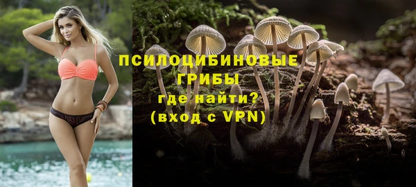трава Надым