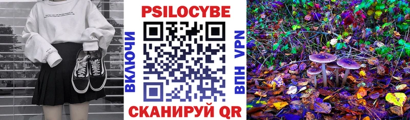 Псилоцибиновые грибы MAGIC MUSHROOMS Дмитриев