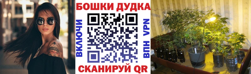 Каннабис VHQ маркетплейс как зайти Дмитриев